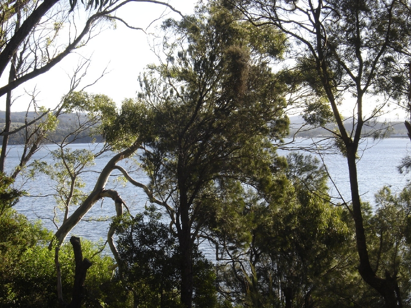 Two blocks side by side great buying $200,000 for the pair! Picture 3