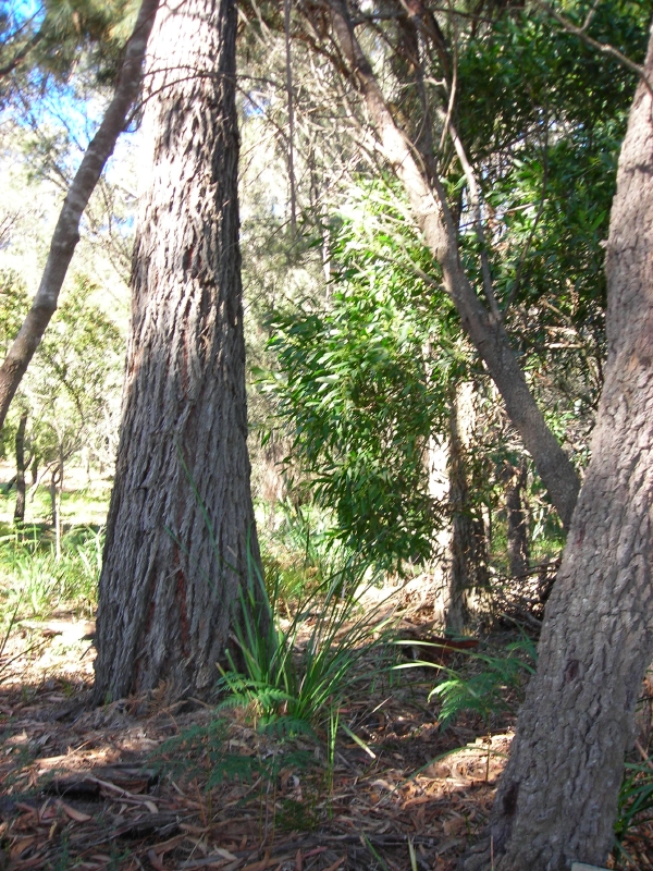 Two blocks side by side great buying $200,000 for the pair! Picture 2