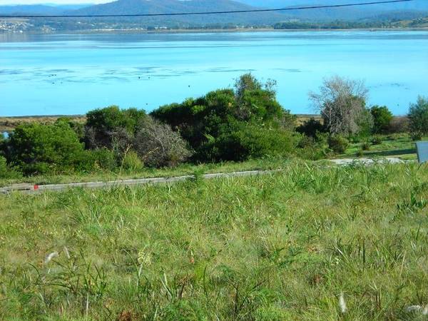 LIQUID ASSET Picture 2