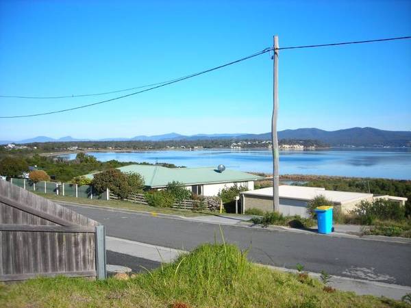 LIQUID ASSET Picture 3