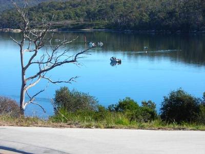 LIQUID ASSET Picture