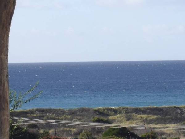 Seaspray at Scamander Picture 2