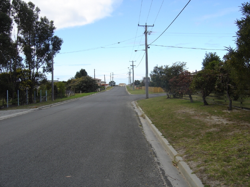 Great Buying Stylish Scamander Picture 3