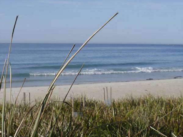 Hear the ocean roar Picture 3