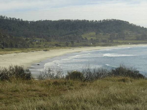 Hear the ocean roar Picture 2