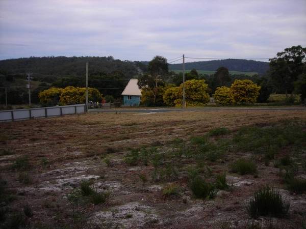 Hilltop Wonder with Views on View Street Picture 3