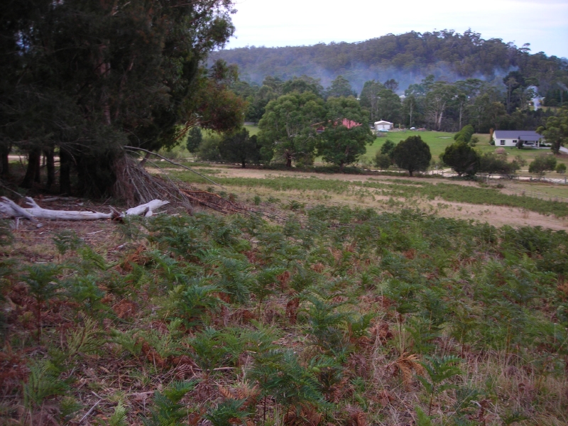 Seldom Found Picture 3