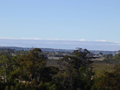 Seldom Found Picture Seldom Found Picture