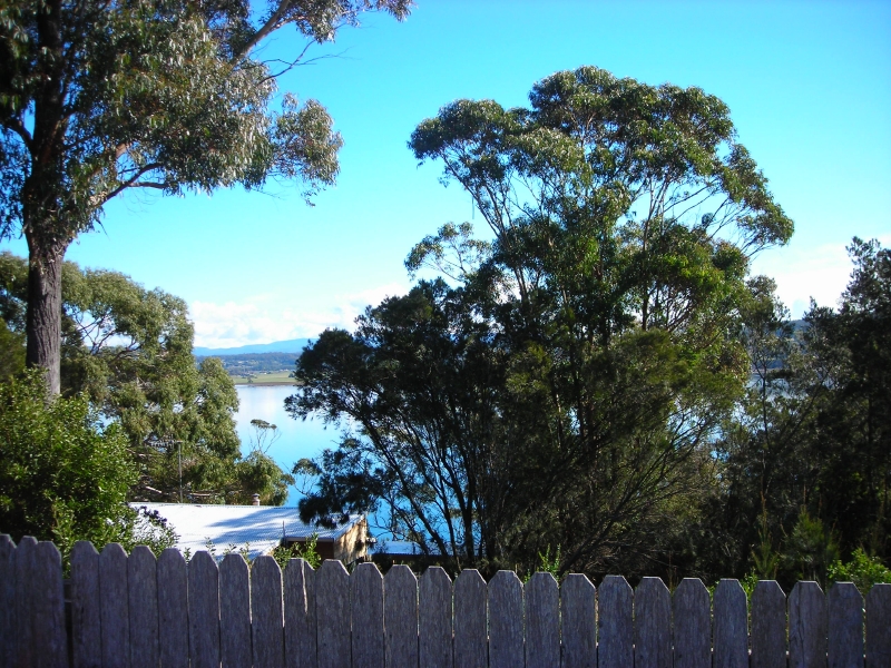 Lovely Block Picture 1