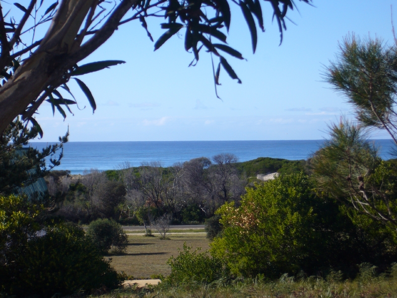 Priced to sell OPPORTUNITY for huge capital growth. Picture 1