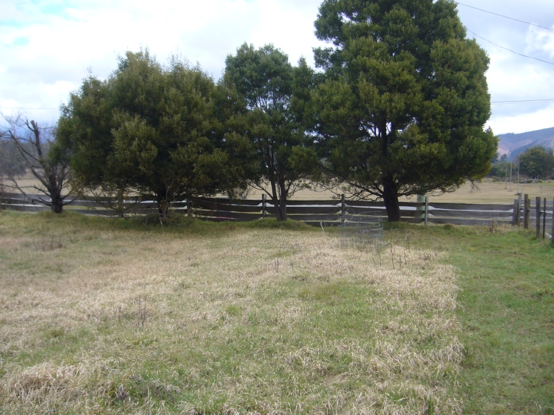 TRANQUIL COUNTRY CHARM Picture 1