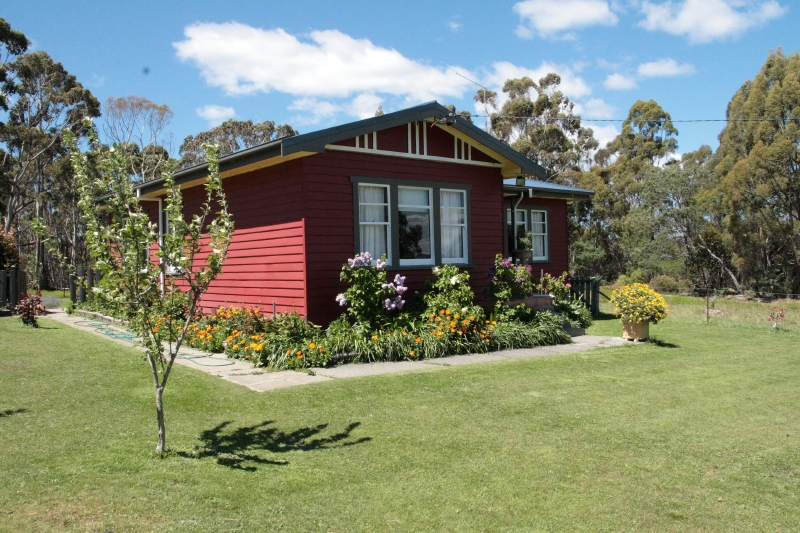 Little Beauty Picture 1