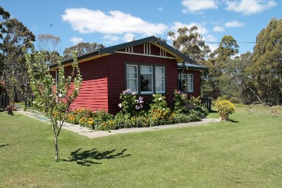 Little Beauty Picture