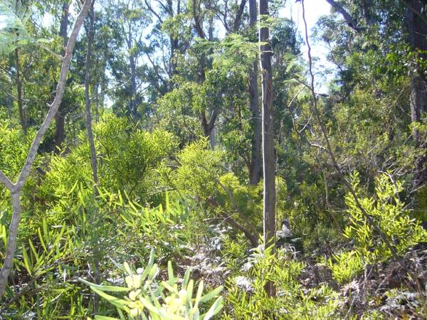 Tranquility Central Picture 2