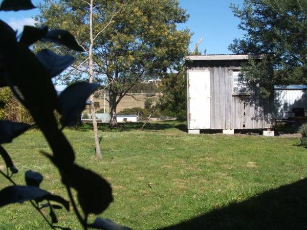 HIDE AND GO SEEK Picture