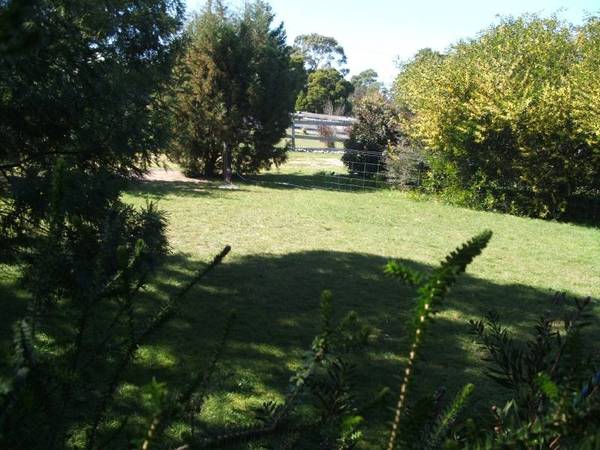 HIDE AND GO SEEK Picture