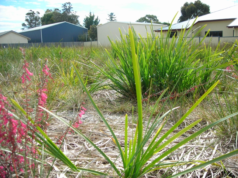 Pleasure Plus at Parnella Picture 3