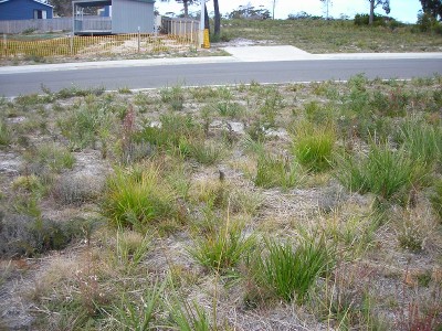 Pleasure Plus at Parnella Picture