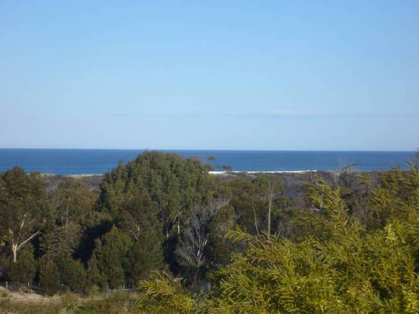 Perfect Position in Pelican Court AND its Affordable only $276,000 if you qualify for the First Home Owners Grant (only Picture