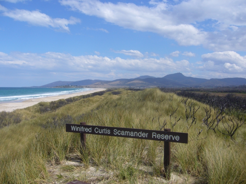 Plenty of Room to run around Picture 1