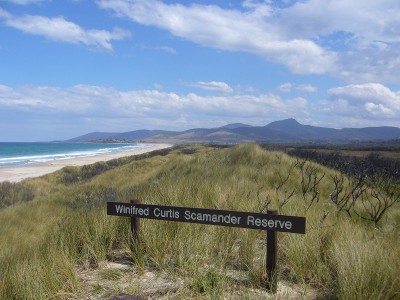 Plenty of Room to run around Picture