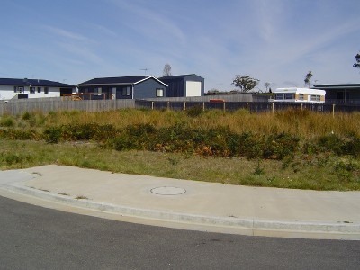 Great Buying... Picture