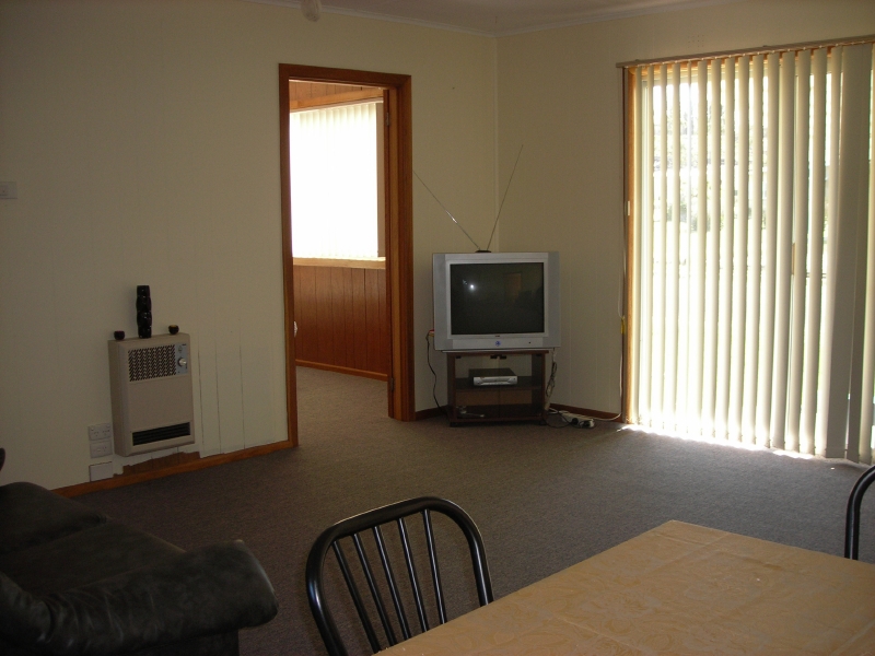 Waving Willies Picture 2