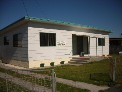 Waving Willies Picture