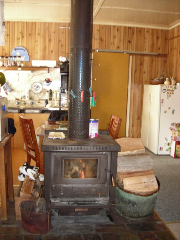 This One's Not Deer Picture 3