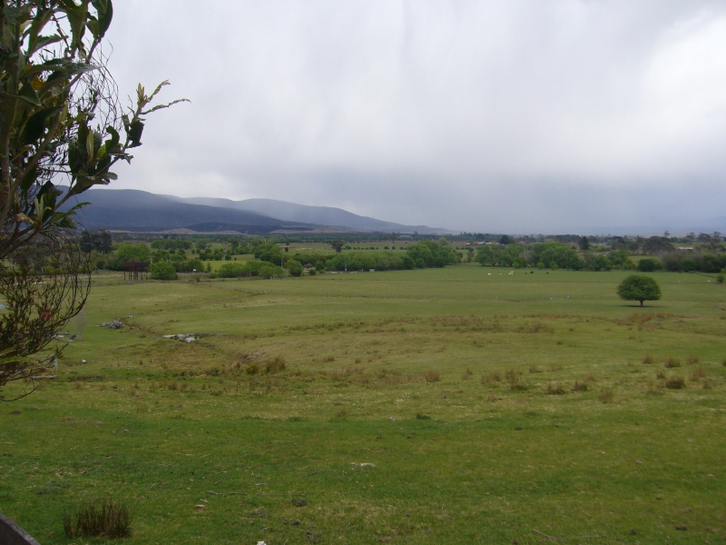 Plush Pasture 30 Acres....Take the Plunge. Picture 1