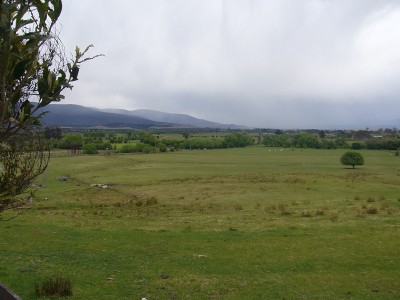 Plush Pasture 30 Acres....Take the Plunge. Picture