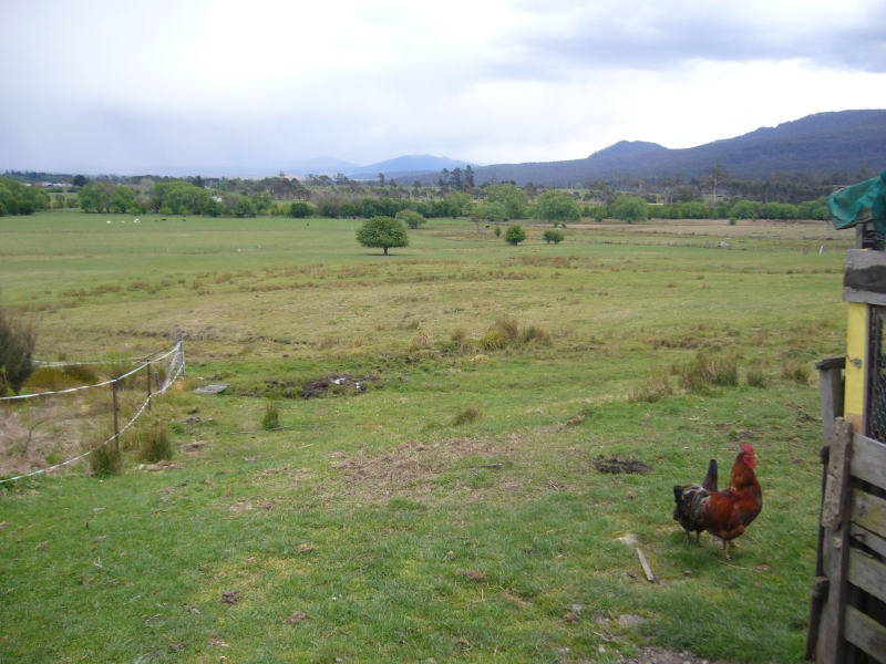 Plush Pasture 30 Acres....Take the Plunge. Picture 3