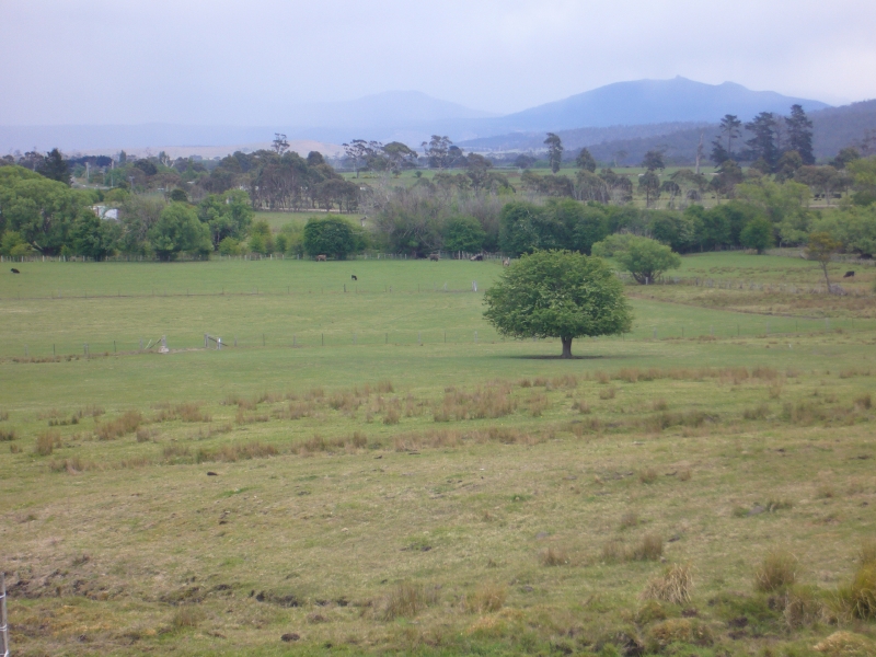 Plush Pasture 30 Acres....Take the Plunge. Picture 2