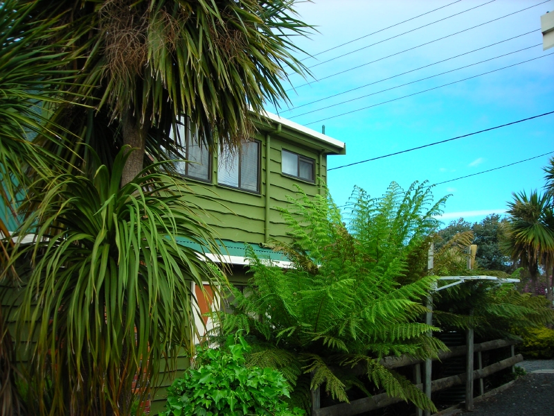 Dream by the Sea Picture 2