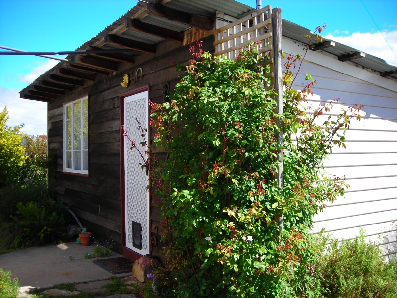 How's This For Value Picture 2