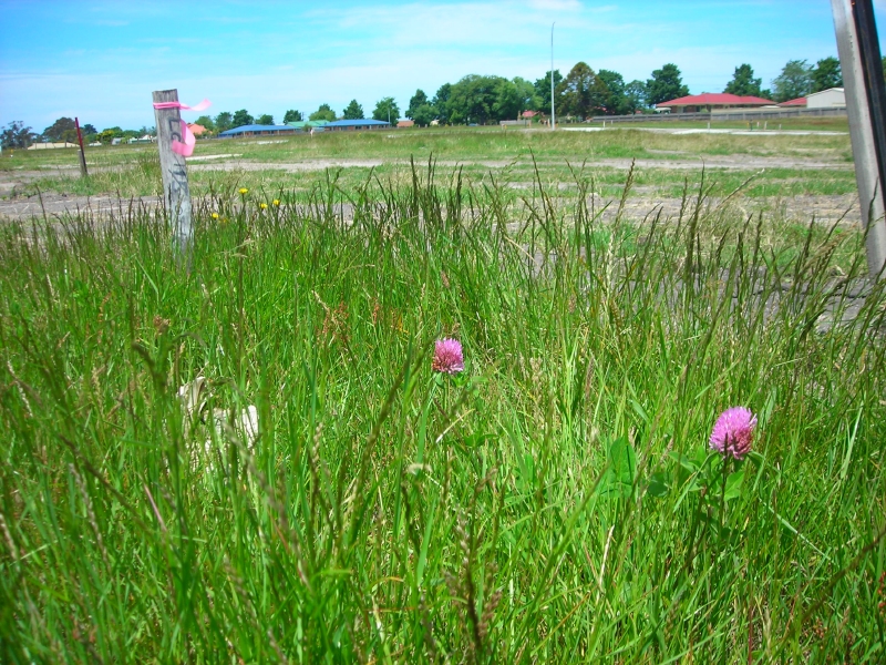 Marthavale Estate Subdivision - Now Selling!! Picture 1