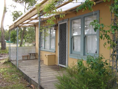 Manuka in Ansons Bay Picture