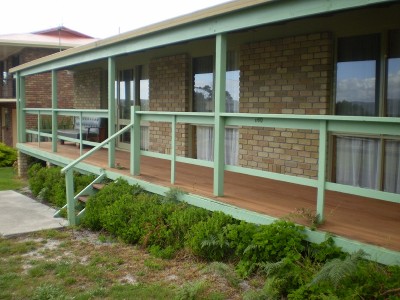 Watch the Pelicans Soar Picture