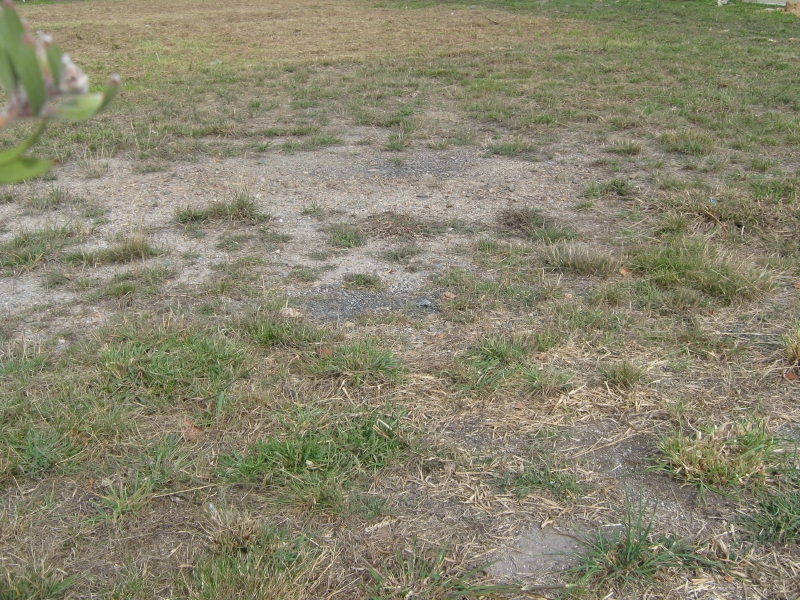 Close, Flat and Quiet Picture 2