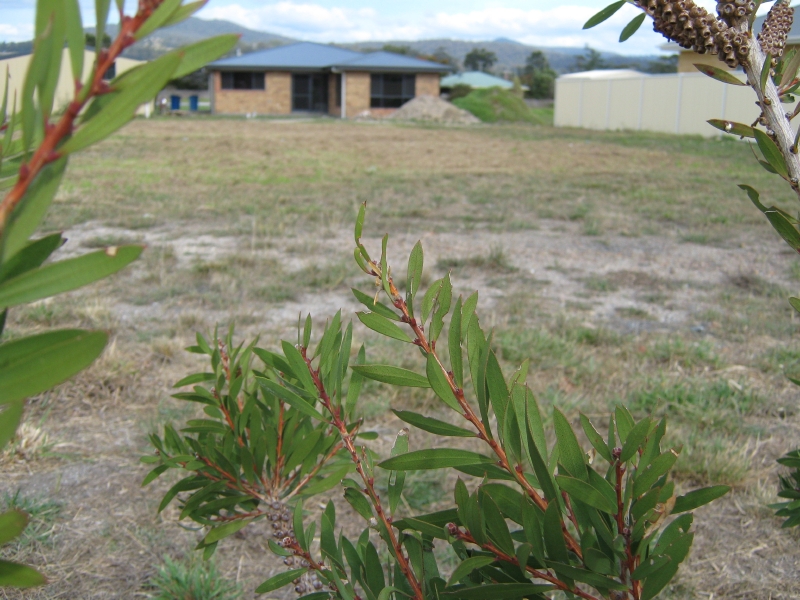 Close, Flat and Quiet Picture 1