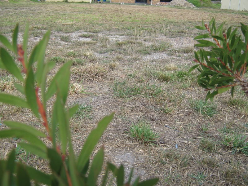 Close, Flat and Quiet Picture 3