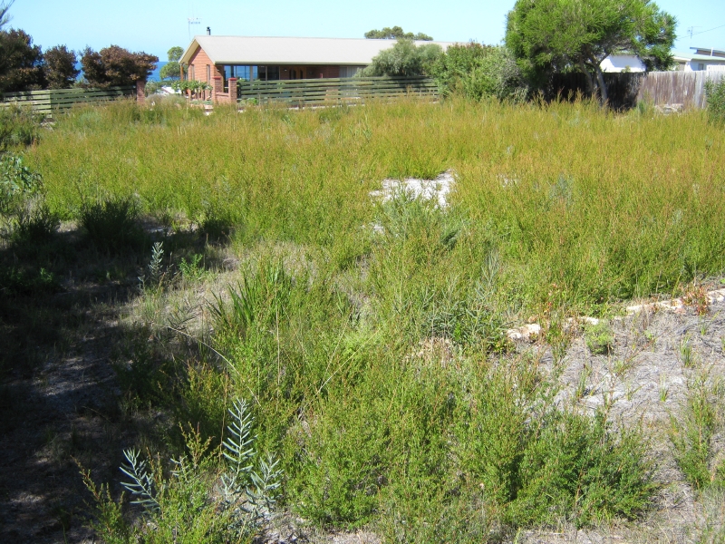 Desirable Location Picture 2