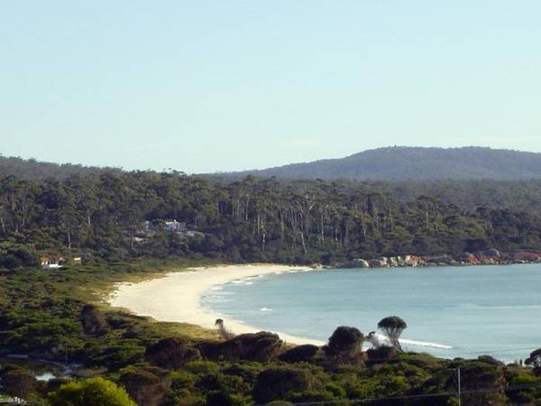 Lazy Wave Beach House Picture 3