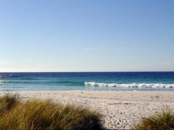 The Beach House Picture 2