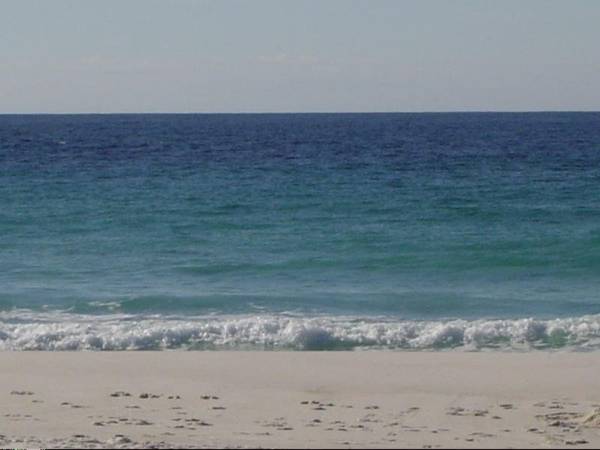 The Beach House Picture 3