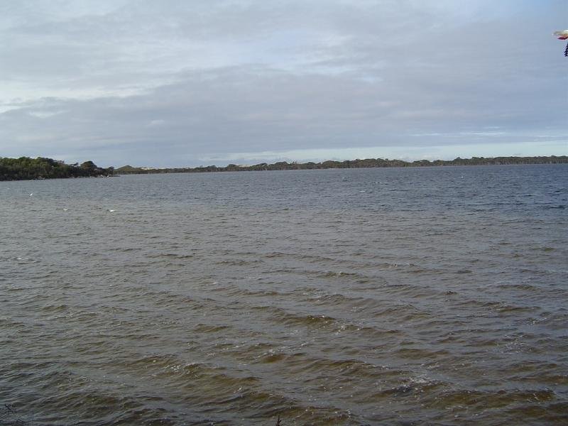 Bargain Buying at Ansons Bay Picture 3