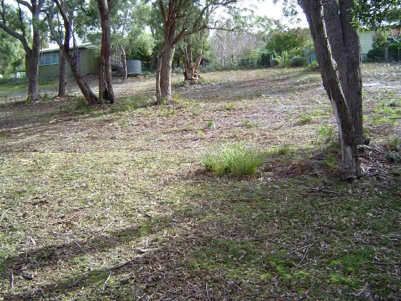 Bargain Buying at Ansons Bay Picture 2