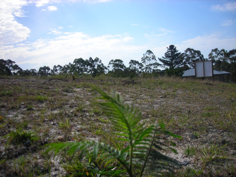 IMPORTANT RESALE OPPORTUNITY Picture 3