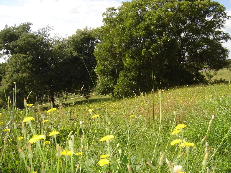 Pleasant views...large block. Picture 3