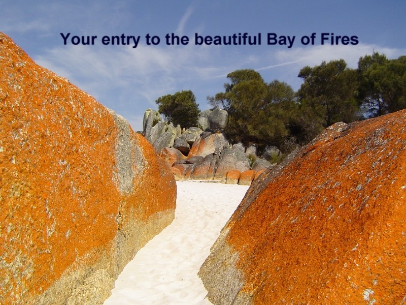 Gateway to the Bay of Fires....Lonely Planets
NO1 Destination in the World 2009 Picture 1